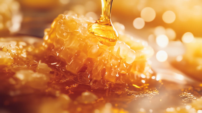عسل کوهی وحشی شیراز با عطر گیاهان طبیعی منطقه